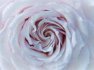 婚庆没签合同不给片能起诉吗 婚庆公司不给签合同怎么办？