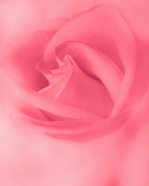 喜糖可以装10颗不好么 喜糖放十颗好不好，要多少才合适呢