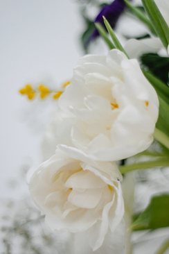 怎么样祝福结婚的人 祝福新人结婚的话怎么说