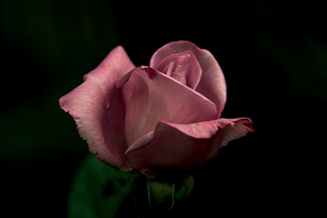 结婚给爸爸妈妈需要买什么 女方结婚，父母都需要准备什么？