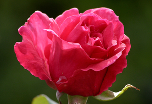 杭州酒店婚宴多少钱一桌