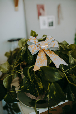 婚检可以选择不做哪几项 做婚检有哪几项是必须的呢？