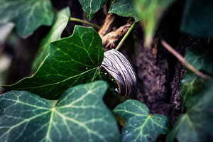 礼服搭配什么鞋子 礼服裙配什么鞋子好看