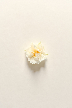 胖新娘的婚纱选择 胖胖的新娘怎么选婚纱好看?