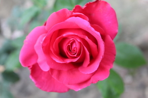 订婚买什么东西 普通订婚需要准备什么东西