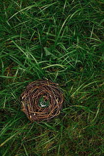 微信婚礼纪电子请帖 婚礼纪电子请柬怎么解锁