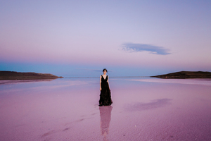 婚车拉花绑几个 婚车手拉花一辆车要几个?