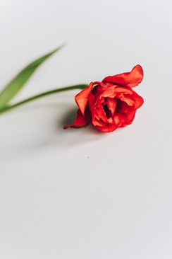 送人实用的礼物 我要买礼物送人那买什么礼物最实用