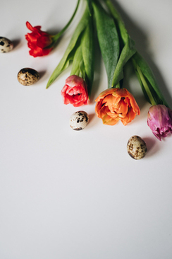 主持婚礼司仪台词 结婚主持人说的话