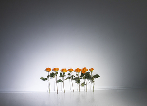 圆脸短发发型图片2019 圆脸女生短发发型图