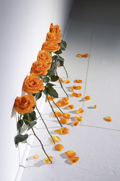 朋友银婚礼物送什么好 银婚纪念送什么礼物