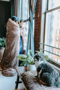 怎样才能进马云的公司 我加入马云的公司要怎么才能加入