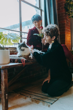 订婚见面礼金是多少 订婚见面礼多少