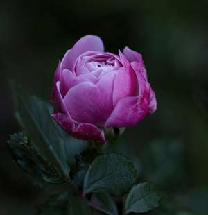 结婚忌啥颜色 结婚最忌讳什么颜色