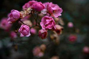 问新郎索要红包怎么说 怎么用话逗新郎讨要红包