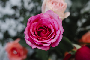 个人婚姻状况在线查询 网上怎么查个人婚姻状况