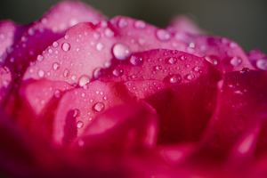 公司开业怎么写邀请函