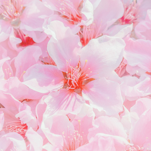 自己亲妹妹结婚送什么礼物好 自己亲妹妹结婚送什么礼物好!