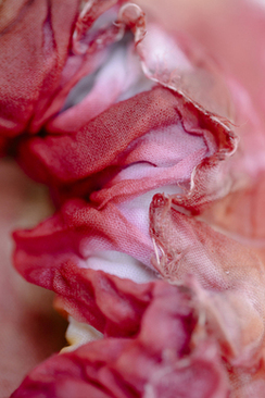 纸质请帖模板 结婚纸质版请柬怎么写