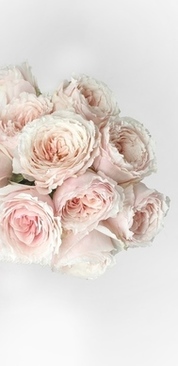 婚庆面试的自我介绍 去婚庆上班做自我介绍应该怎么说