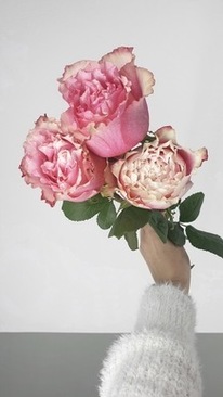 婚礼小孩送戒指 结婚给送戒指的小孩怎么称呼？