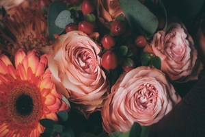 不摆酒结婚要给多少礼金 结婚不摆酒的话男方礼金要给多少呢？