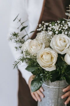 满天星有毒吗 满天星花有毒吗