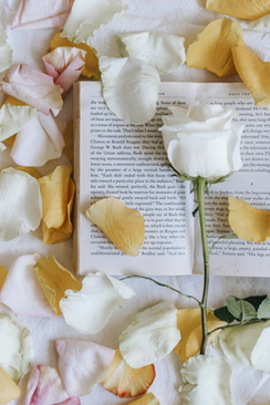 铺床的红包一般由谁给 婚房给铺床人的红包由谁出