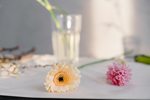 结婚喜糖图片大全