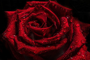 参加别人的婚礼穿什么衣服合适 参加朋友婚礼要穿什么衣服比较合适？