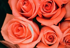 中式婚礼舞台布置描述 中式婚礼怎么布置会场