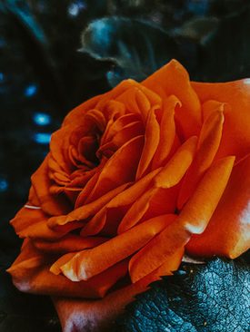 结婚周年幽默句子 结婚七周年幽默的句子