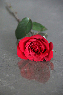 新娘下车礼姐姐怒怼