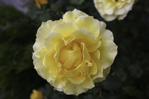 安徽回门礼都带什么东西 结婚回门需要带什么东西？