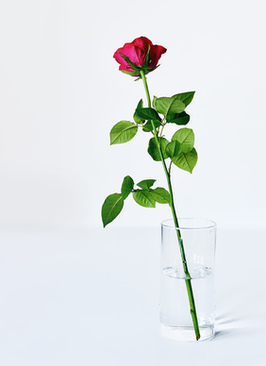 冬天订婚穿啥衣服合适 冬天订婚穿什么衣服最好？