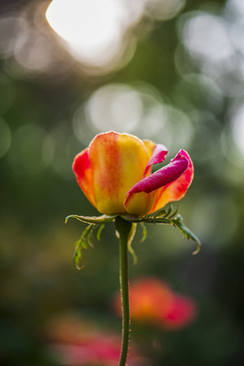日本代购男士用品买啥 男士从日本回来有哪些必买清单?
