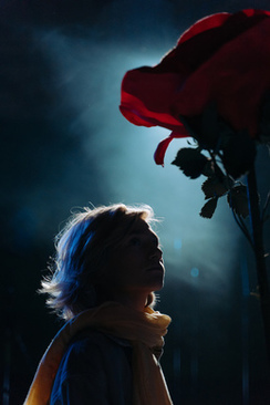 婚庆场布是什么 婚庆现场布置包括哪几部分