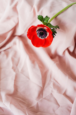 结婚请帖怎么写祝福词 结婚请柬祝福语怎么写