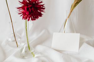 冬天新娘结婚图片 新娘冬天怎么穿图片