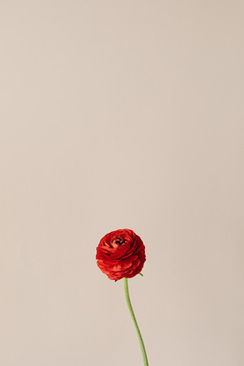 结婚可以不要伴郎伴娘吗 结婚时可以不要伴娘吗？