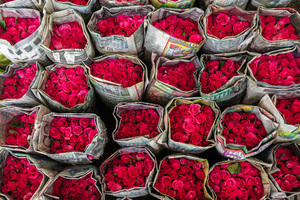 结婚当天新郎需要穿新衣服吗 新郎婚礼后需要穿新衣服吗