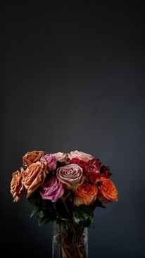 一场西式婚礼办下来多少钱 举办一场西式婚礼..大概需要多少钱?