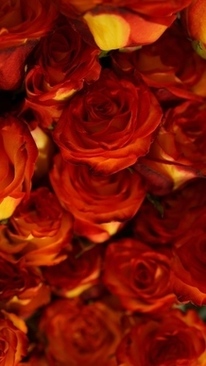 冬季穿的西装叫什么 冬天正装是什么？