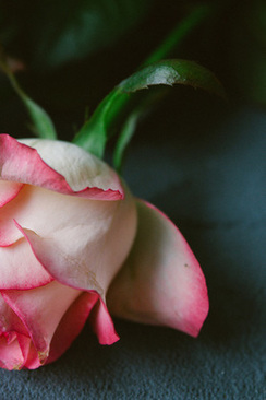 微信签名怎么显示出来 微信如何显示个性签名