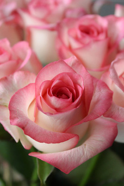 结婚佩戴什么首饰好 结婚都应该佩戴哪些首饰?