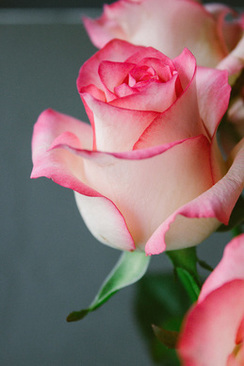 结婚要买些什么东西 结婚都需要买什么?