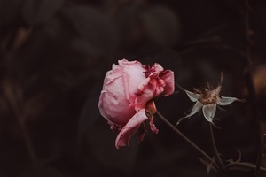 结婚新郎敬酒怎么说 结婚酒席上新郎敬酒时该怎么说