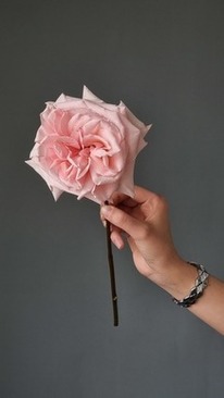 订婚宴座次安排 订婚宴的座次安排