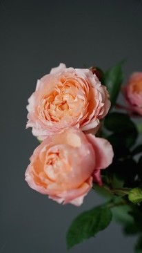 送礼物了还要发红包吗