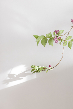 结婚请客敬酒说什么 我结婚当天每桌都要敬酒，应该说些什么话